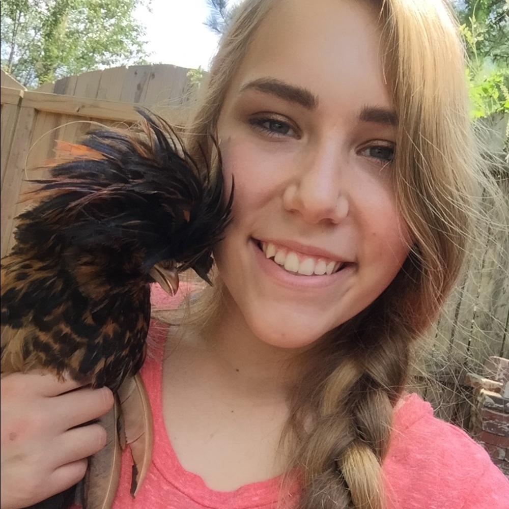 Meet your Posher, Noel